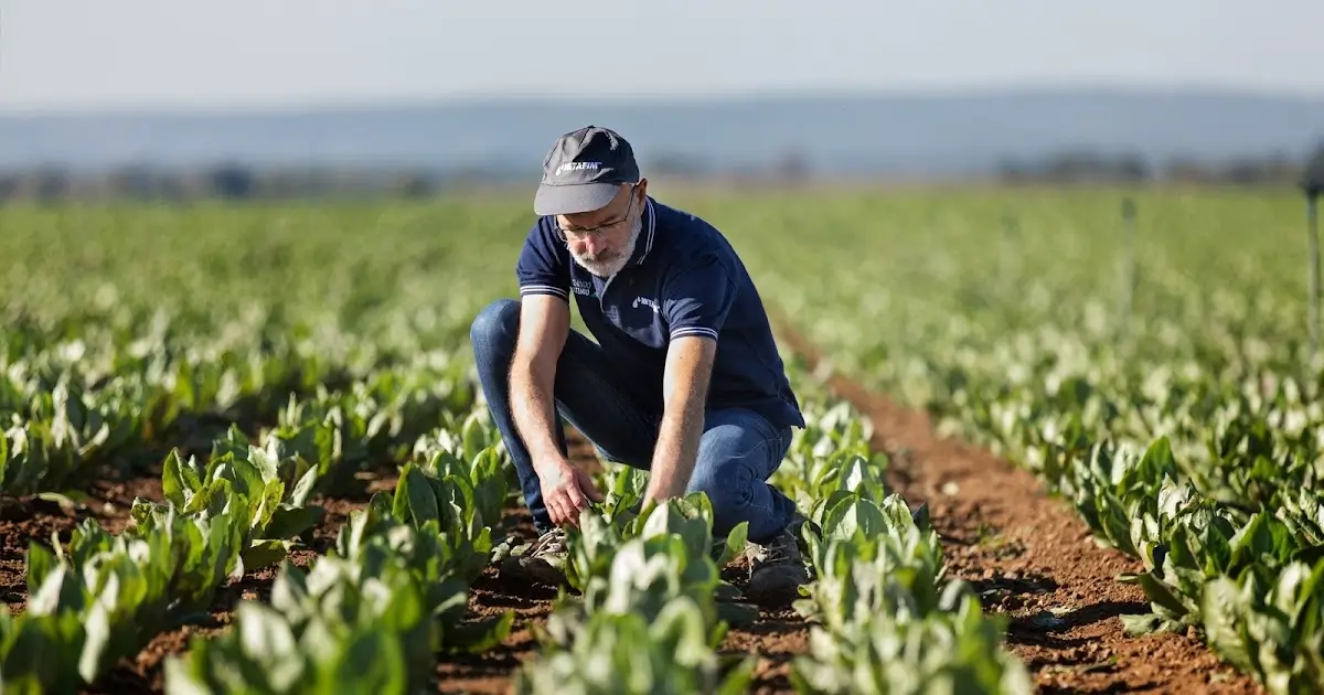 agronegócio como fomentador da economia brasileira em 2024