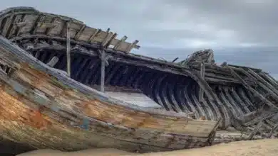 barcos naufragados renascem na forma de instrumentos musicais