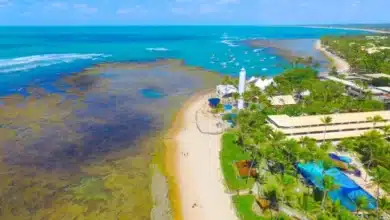 Nordeste -Praia do forte