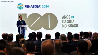 Fenasoja 2024