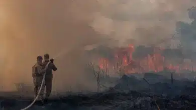 Queimadas - Amazônia
