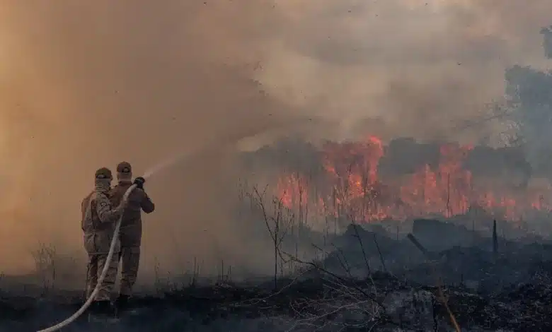 Queimadas - Amazônia