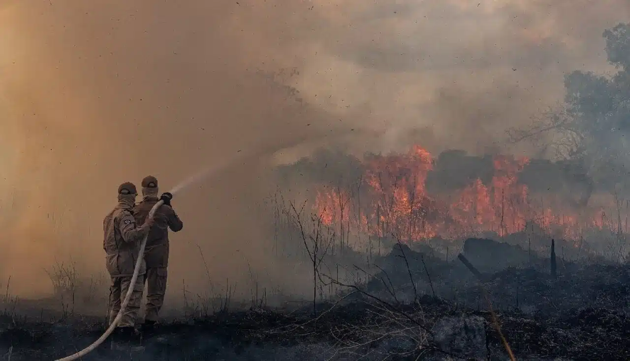 Queimadas - Amazônia