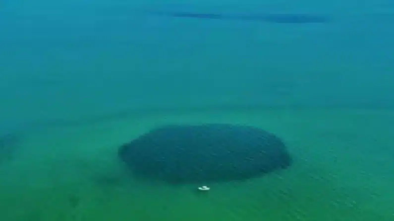 Buraco Marinho - México