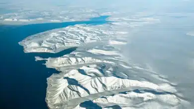 Microcontinente Descoberto