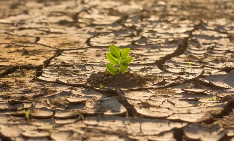 Mudanças Climáticas