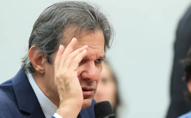 Haddad
